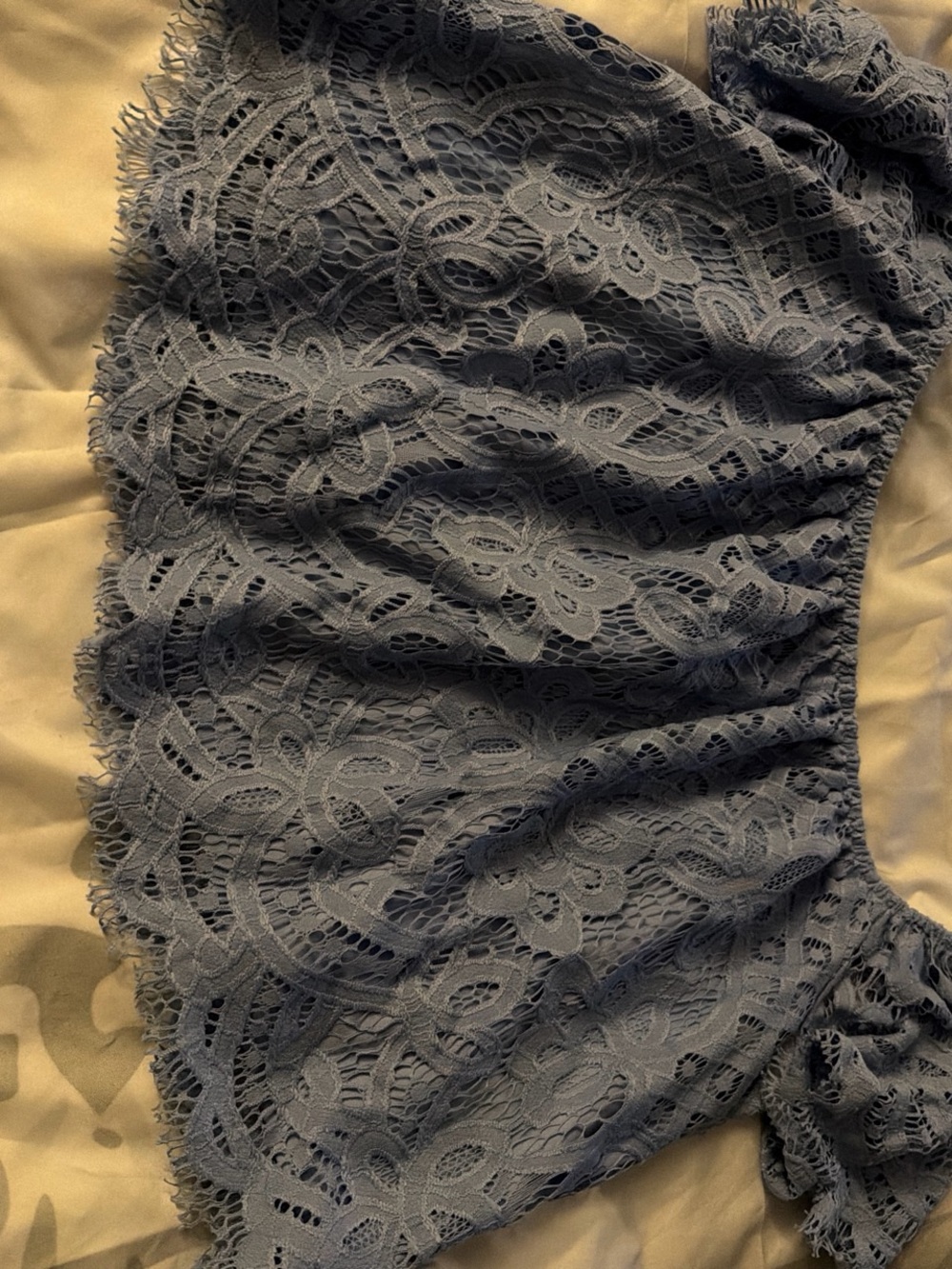 Express Gray Lace Crop Top
